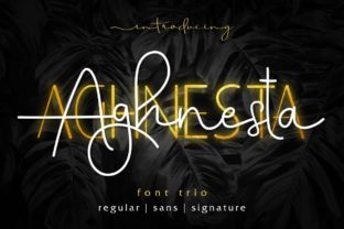 Bring Your Handmade Creations to Life with Aghnesta Trio
