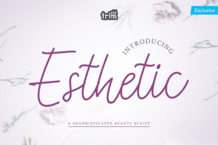 Esthetic: A Handwritten Script for Elegant Web Design